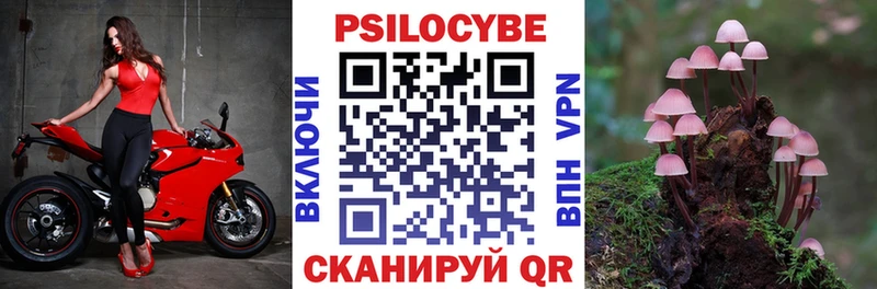 Псилоцибиновые грибы прущие грибы  Астрахань 