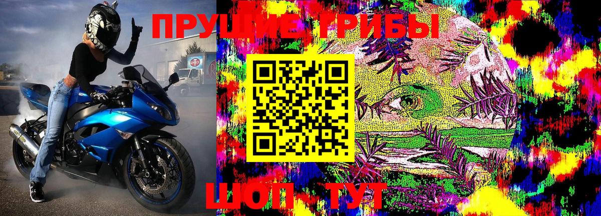 Галлюциногенные грибы мухоморы  магазин    Галлюциногенные грибы мицелий  Астрахань 